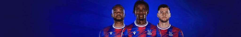 sudoku solver asset nyt
